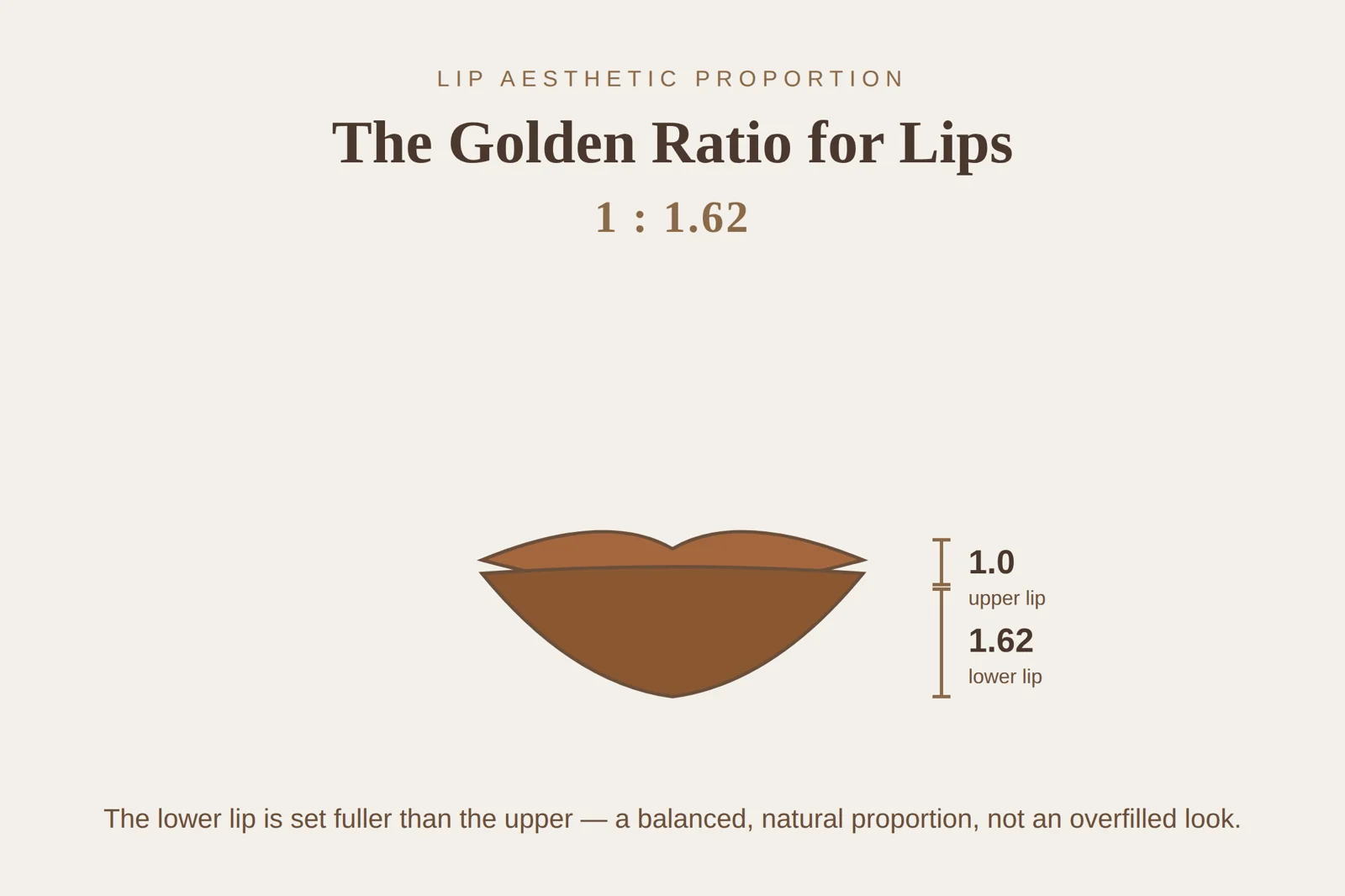 Diagram of the golden ratio for lips showing the lower lip set fuller than the upper at a 1 to 1.62 proportion
