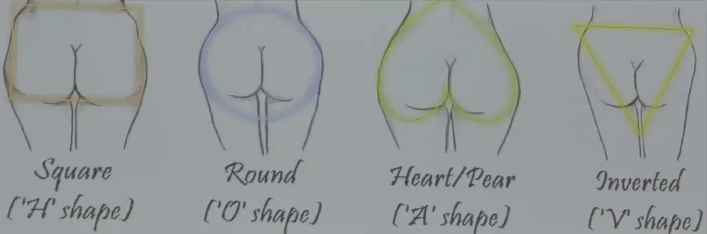 Chart of the four buttock shape types: square, round, heart or pear, and inverted